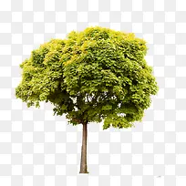 ��-������