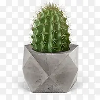 水彩仙人球-空若网 水彩仙人球-空若网