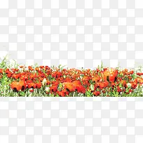 ʸÁ¿ÊÖ»æÓô½ðÏ㻨ÆÔËØ²ÄÊÖ»æ-¿ÕÈôÍø ʸÁ¿ÊÖ»æÓô½ðÏ㻨ÆÔËØ²ÄÊÖ»æ-¿ÕÈôÍø