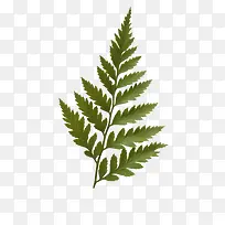 漂浮小草-空若网 漂浮小草-空若网