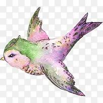 �����С��-������