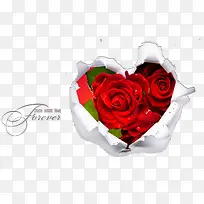 214情人节浪漫玫瑰花素材-空若网 214情人节浪漫玫瑰花素材-空若网