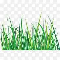 小草装饰假花假草-空若网 小草装饰假花假草-空若网