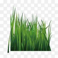 С�ݽ���װ�μٲ�-������