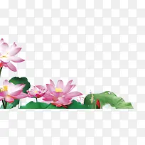 卡通手绘立夏荷叶荷花-空若网 卡通手绘立夏荷叶荷花-空若网