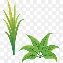 一堆小草卡通小草分割线-空若网 一堆小草卡通小草分割线-空若网