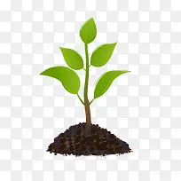 С²Ý-¿ÕÈôÍø С²Ý-¿ÕÈôÍø