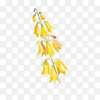 Ë®²Ê»¨-¿ÕÈôÍø Ë®²Ê»¨-¿ÕÈôÍø