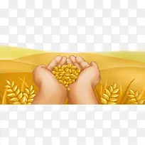 手绘小满节气装饰插图手捧稻谷插-空若网 手绘小满节气装饰插图手捧稻谷插-空若网