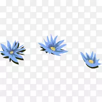 埃及莲蓝百合-水百合-空若网 埃及莲蓝百合-水百合-空若网