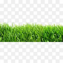 ������Ӱ«έ������-������