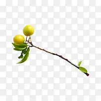 ƻ��-������