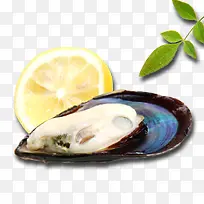 小清新青口贝产品实物-空若网 小清新青口贝产品实物-空若网