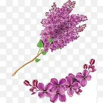 ��ɫ��-������