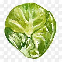 彩绘有机蔬菜卷心菜-空若网 彩绘有机蔬菜卷心菜-空若网
