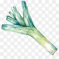 手绘新鲜大葱-空若网 手绘新鲜大葱-空若网