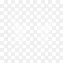 ��ɫ���-������