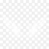 光效翅膀-空若网 光效翅膀-空若网