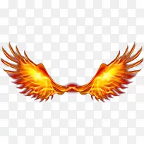 火焰翅膀-空若网 火焰翅膀-空若网
