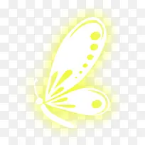 发光体黄色翅膀效果-空若网 发光体黄色翅膀效果-空若网