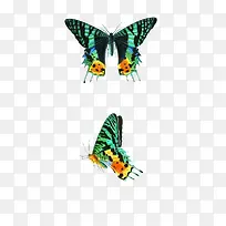 ��ɫ��Ч������-������