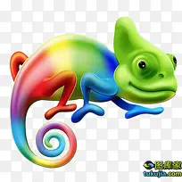 多彩变色龙-空若网 多彩变色龙-空若网