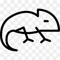 变色龙图标-空若网 变色龙图标-空若网