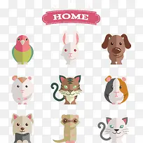 扁平化 动物 动物图标 狗 卡-空若网 扁平化 动物 动物图标 狗 卡-空若网