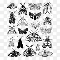 À¥³æ±ê±¾-¿ÕÈôÍø À¥³æ±ê±¾-¿ÕÈôÍø