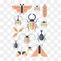 甲虫蝴蝶合集-空若网 甲虫蝴蝶合集-空若网