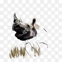 简约水墨犀牛插画-空若网 简约水墨犀牛插画-空若网