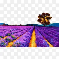 �ͻ�޹�²ݻ����زı���-������