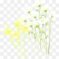 ��ɫ��ɫ�ջ�-������