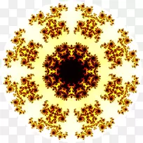 ���ζԳƼ����ͼ��.װ��-������