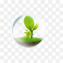 小草-空若网 小草-空若网