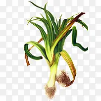 ˮ���߲�-������