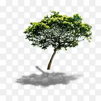 ����-������