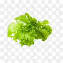 ���������߲˸���-������