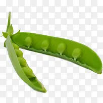 Ê߲˶¹×Ó-¿ÕÈôÍø Ê߲˶¹×Ó-¿ÕÈôÍø