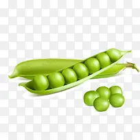蔬菜豌豆-空若网 蔬菜豌豆-空若网