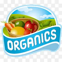 蔬菜有机物图标-空若网 蔬菜有机物图标-空若网