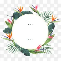 水彩夏日植物边框-空若网 水彩夏日植物边框-空若网