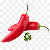 �����߲�-������