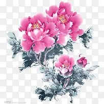 Ë®²ÊË®ºìĵµ¤»¨-¿ÕÈôÍø Ë®²ÊË®ºìĵµ¤»¨-¿ÕÈôÍø