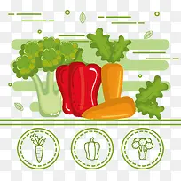 ÓªÑø·á¸»µÄÊß²Ë-¿ÕÈôÍø ÓªÑø·á¸»µÄÊß²Ë-¿ÕÈôÍø