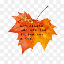 ���Ա�ǩ-������