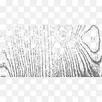 ��ɫ���Ʊ���-������