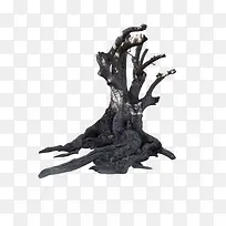 枯死的大树-空若网 枯死的大树-空若网