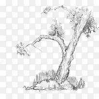 Ư���������-������