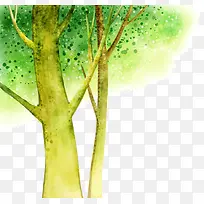绿色大树-空若网 绿色大树-空若网